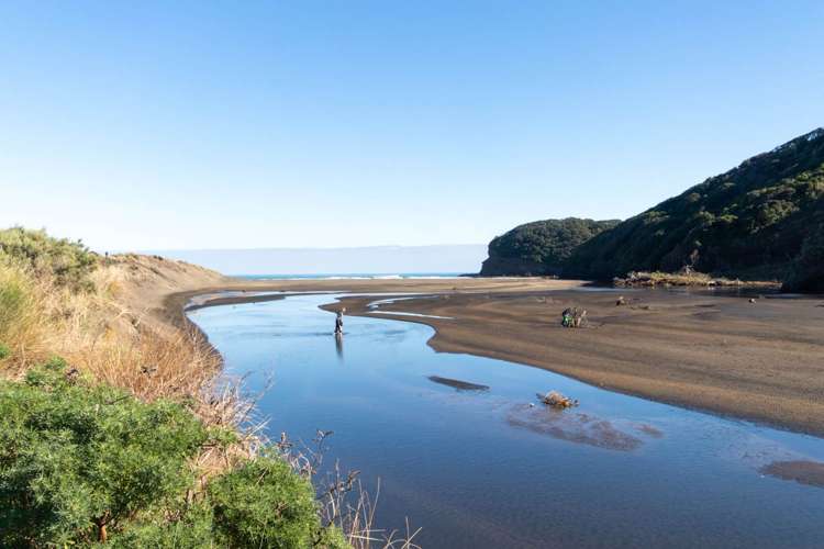 270 Bethells Road Bethells Beach_16