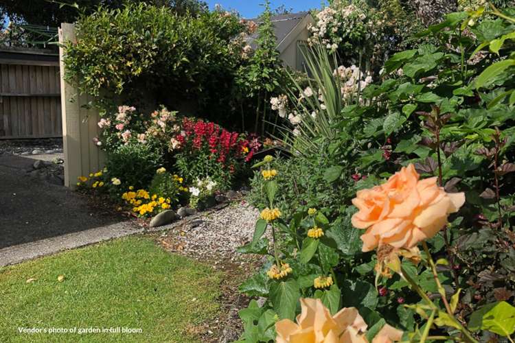 63 Inkerman Street Renwick_50