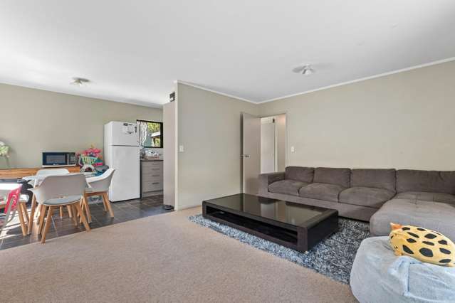 109e Mansels Road Parkvale_2
