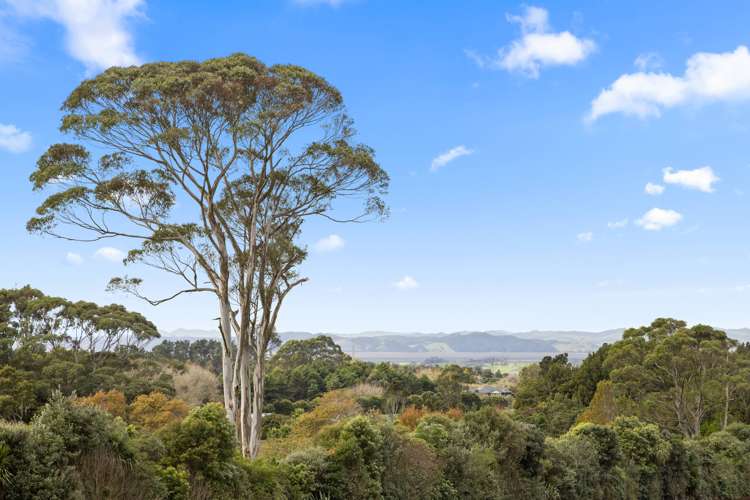 739 Highway 22 Pukekawa_11