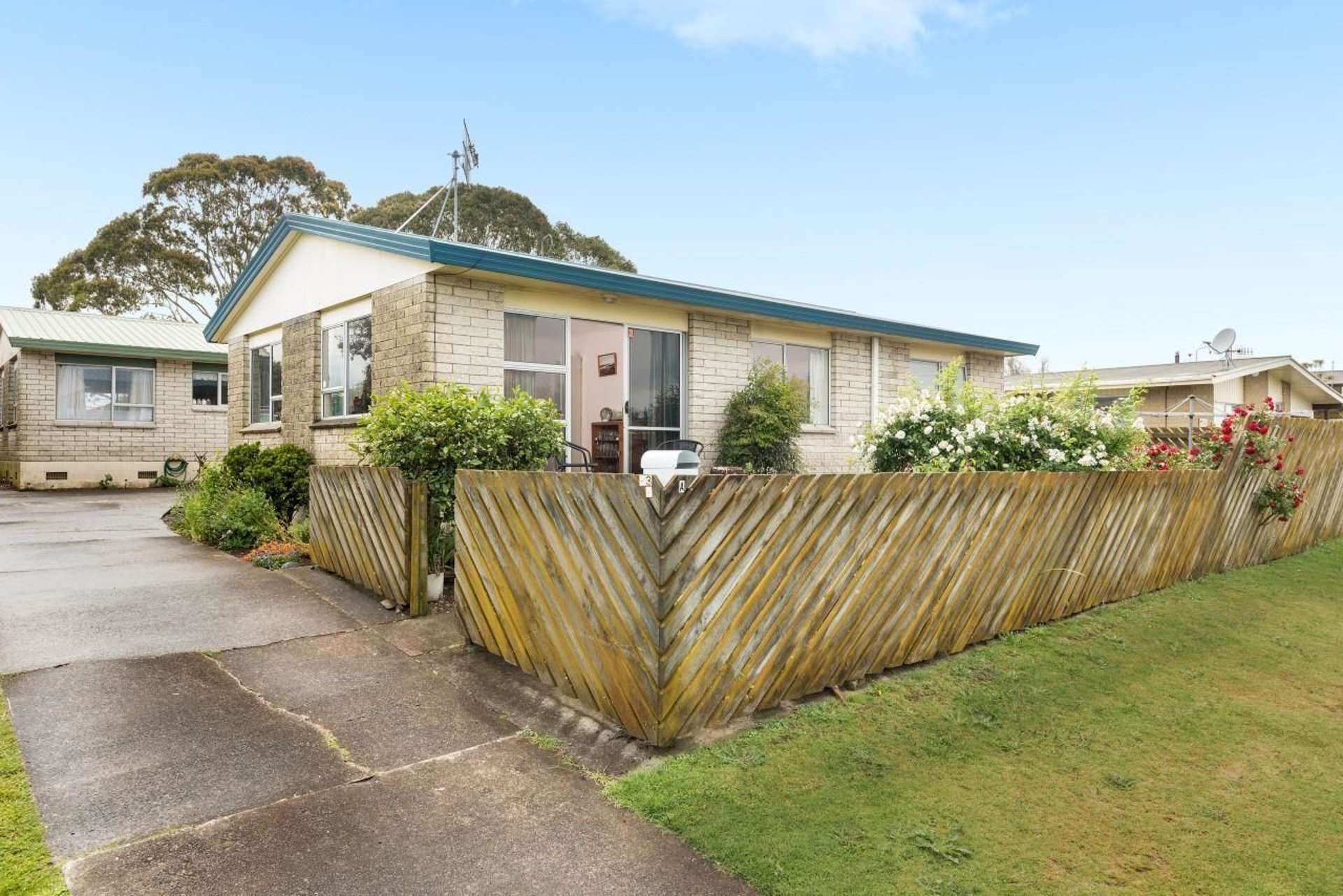 73a Links Avenue Mount Maunganui_0