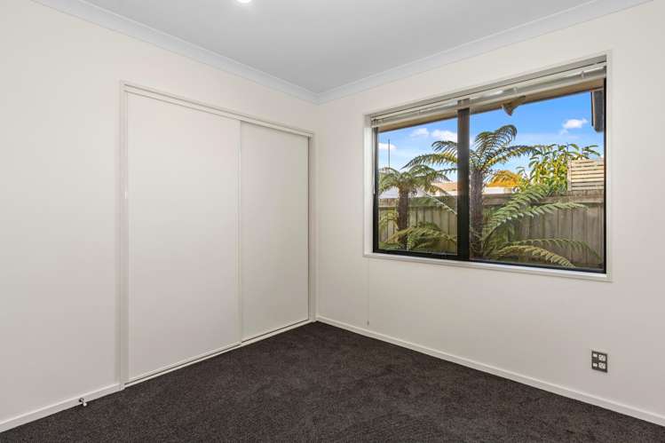 46a Plunket Street Spreydon_11