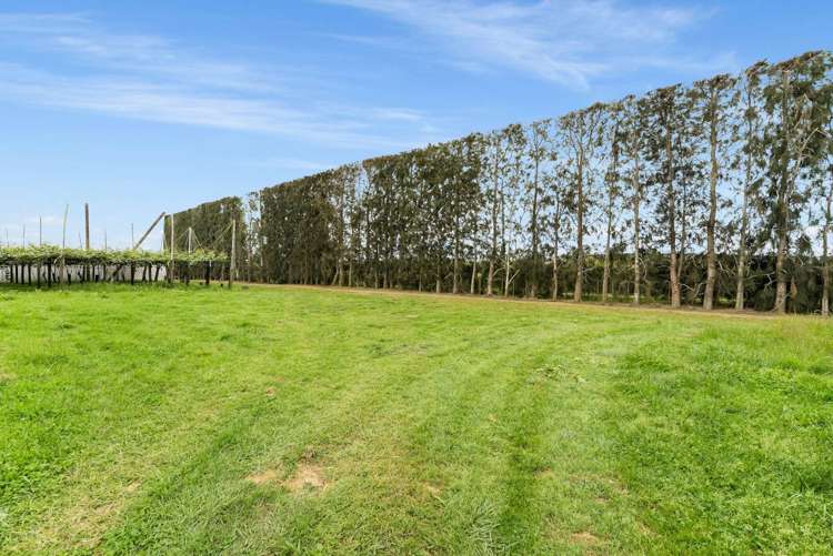 492 State Highway 33 Paengaroa_19