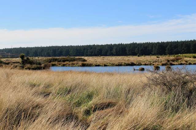 66 Te Kohanga Drive Pegasus_2