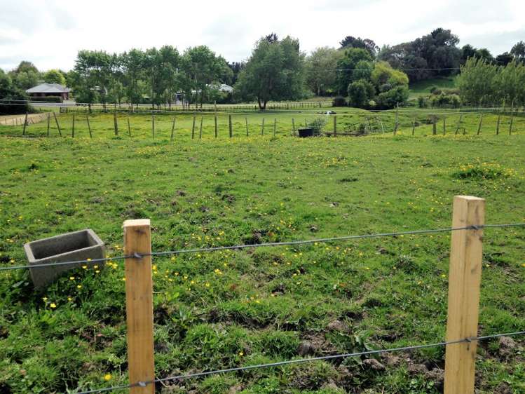 65 Grace Street Sanson_16