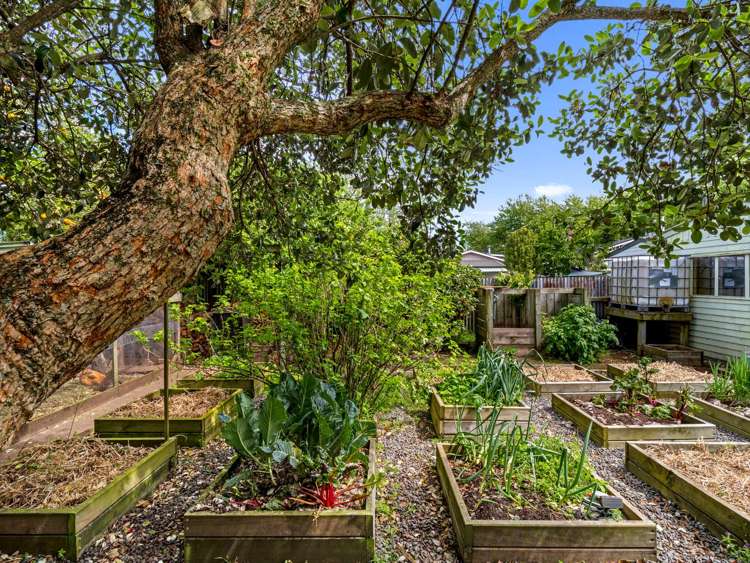 17 Godwin Crescent College Estate_31