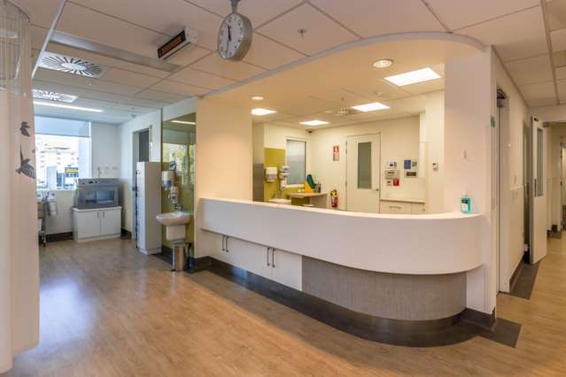 132 Peterborough Street City Centre_1