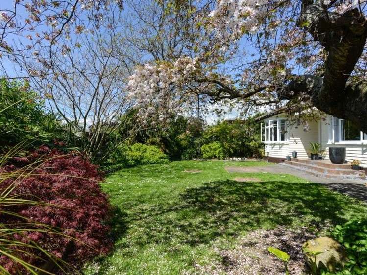 503 Grove Road Mayfair_8