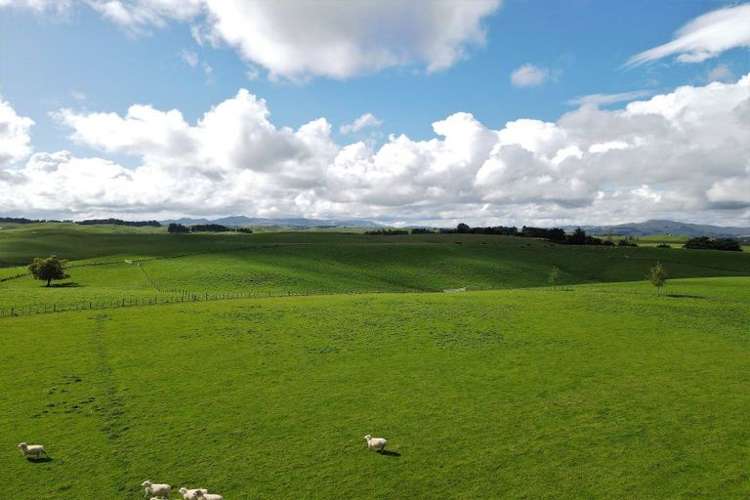 180 Tipapakuku Road Dannevirke_11