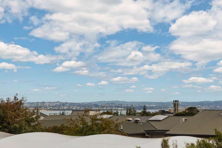 16b Seaview Terrace Mount Albert_17