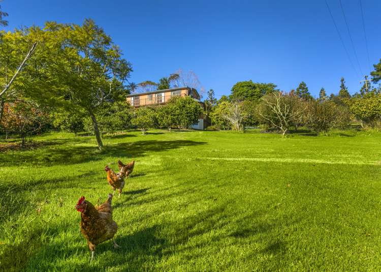 428a Blackbridge Road Dairy Flat_13