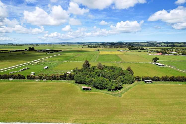 Tramline Road Ruawai_5