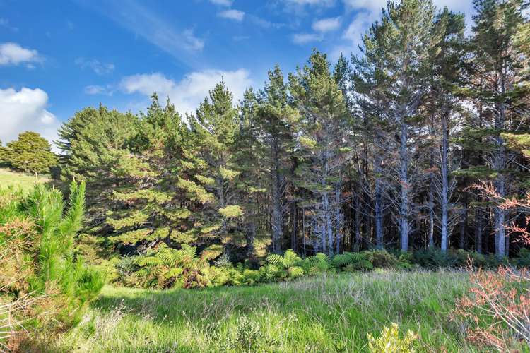 Campbell Road Parua Bay_9