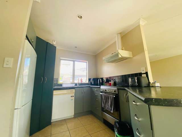 17B Helvetia Road Pukekohe_2