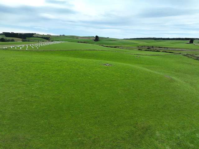 75/100 Crighton Road Waimahaka_4