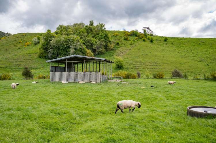 98 Thorpe-Orinoco Road Ngatimoti_31