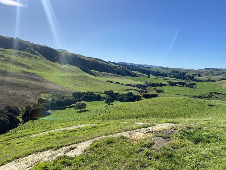 48 Heathfield Road Waipara_10