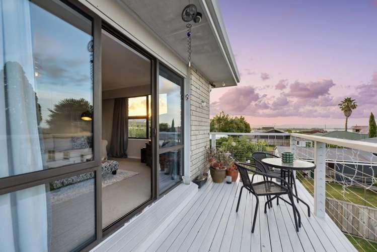 46 Princess Road Bellevue_11