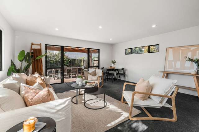 55 & 55a Wiggins Street Sumner_4