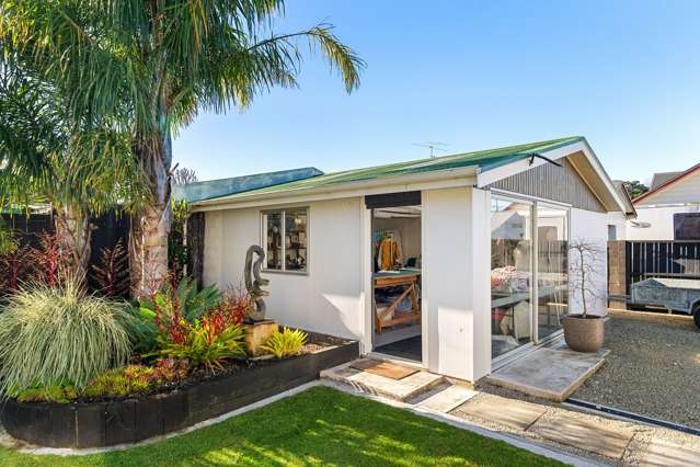 110 Harris Street Inner Kaiti_4