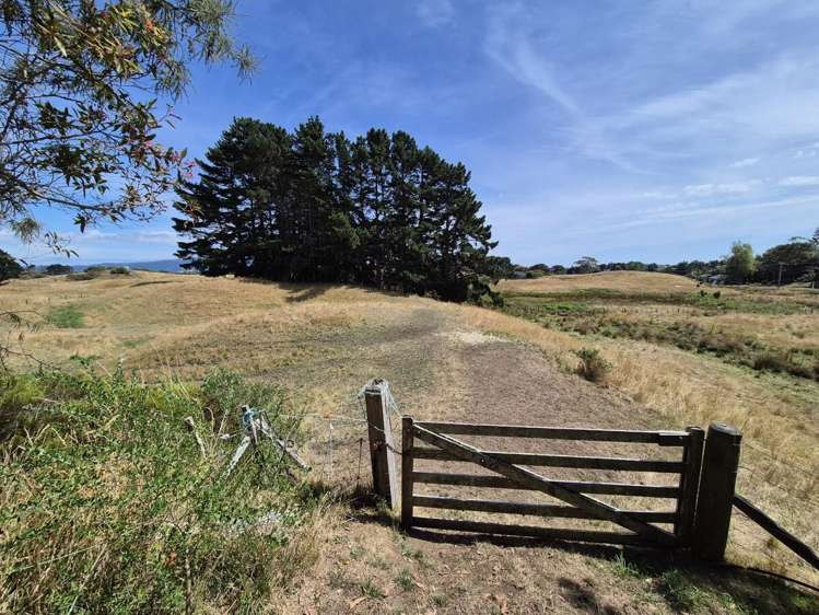 54 Otaihanga Road Paraparaumu_11