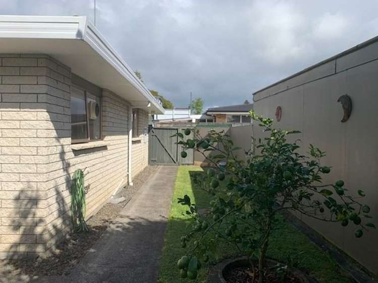 10a Tutchen Street Tauranga Central_16