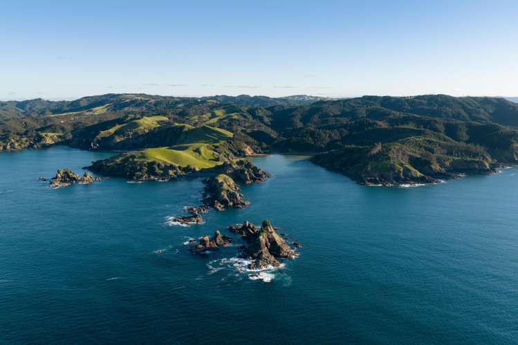 Whangaihe Bay Kaeo_9