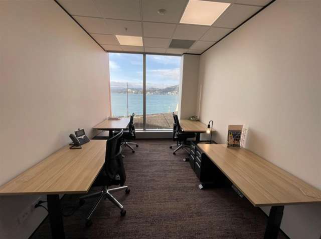 Level 2, 45 Lady Elizabeth Lane Wellington Central_3