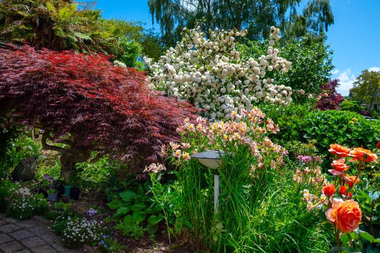 6 Gillam Crescent Springfield_36