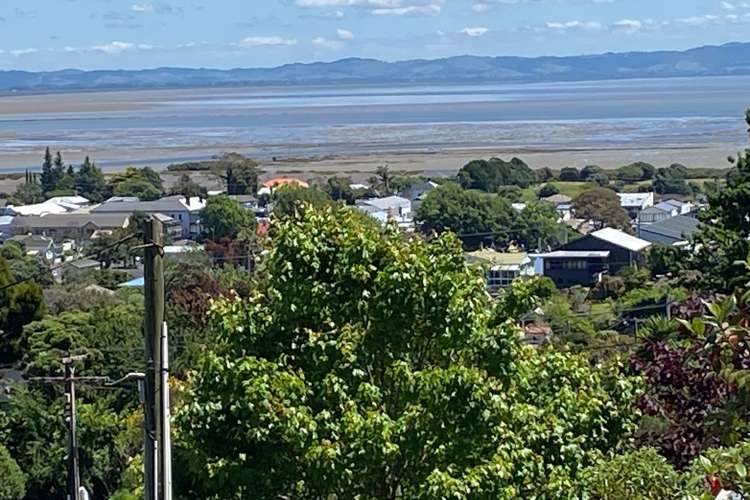 905 Sealey Street Thames_15