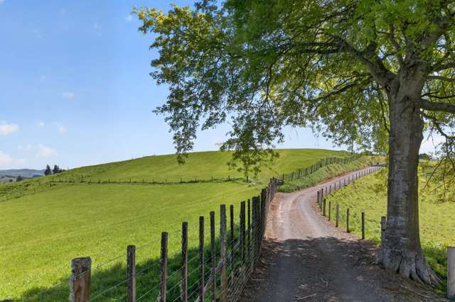 2135 Maungatautari Road Cambridge_2