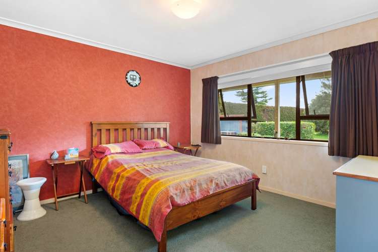 243 Woodside Road Matangi_5