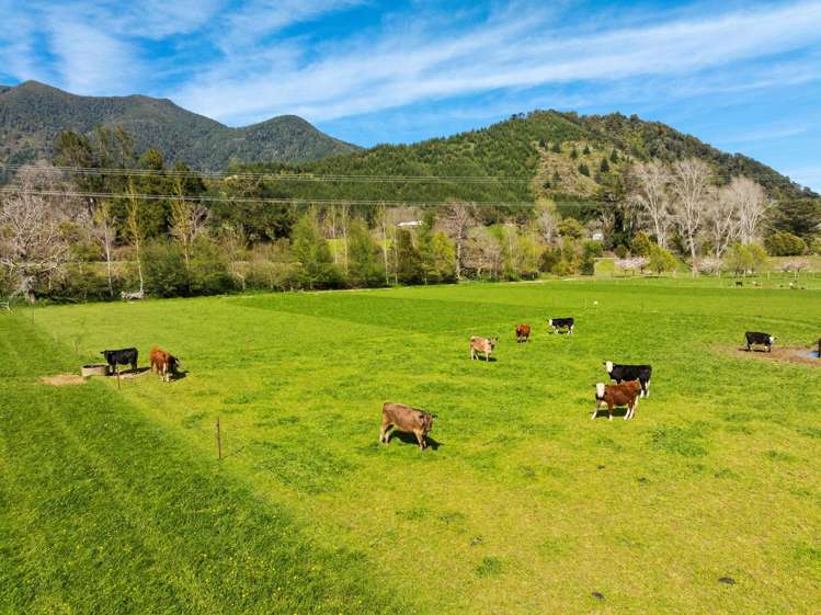 5788 State Highway 6 Pelorus Bridge_29