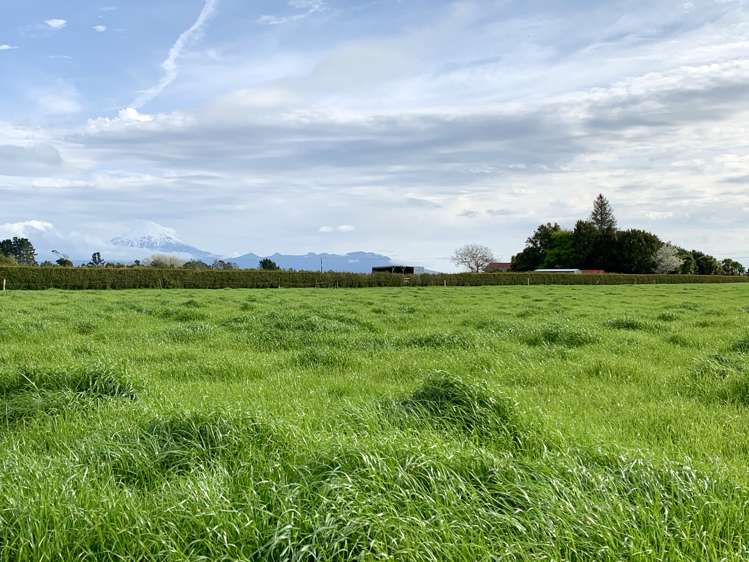 267 Waitara Road Waitara_6