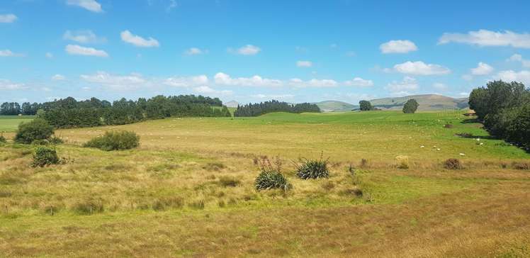 182 Beacon Hill Road Wairuna_8