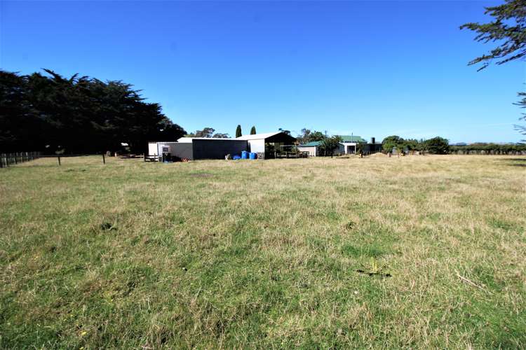 49899 State Highway 3 Woodville_19