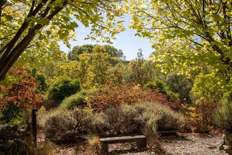 67 Ferris Road Alexandra_20