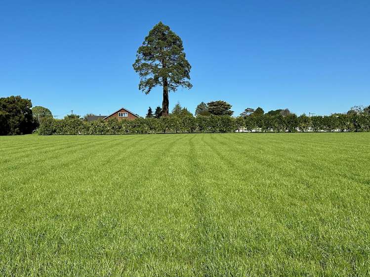 Lots 2, 3 & 4 Toru Street Makaraka_12