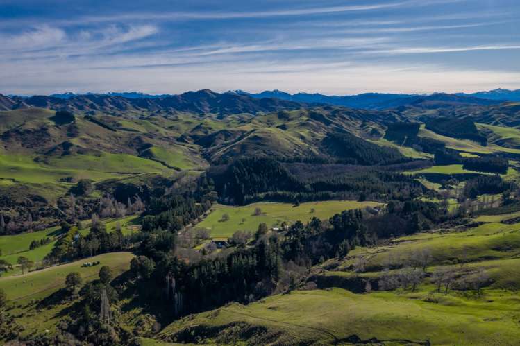 387 Eggleston Road Cheviot_8