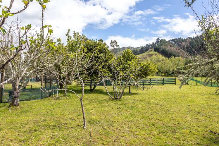 24 Ohaene Drive Thames_30