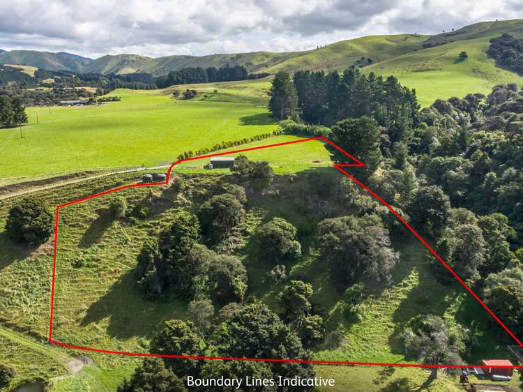 388 Ruakokoputuna Road Ruakokoputuna_2