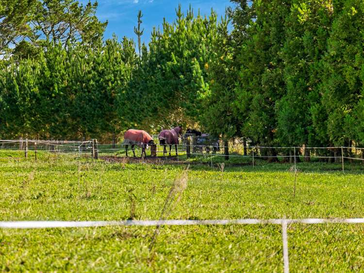 753 Waiare Road Kerikeri_8