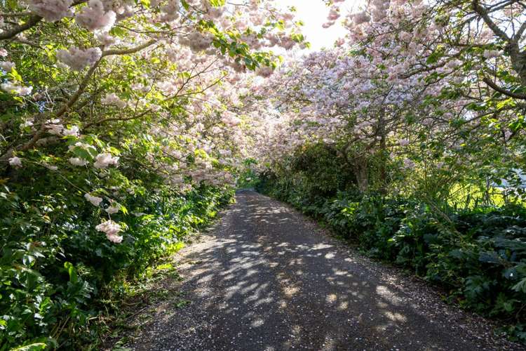 62 Pencarrow Road Tamahere_19