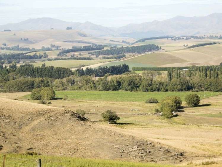 126 Mcphersons Road Taiko_35