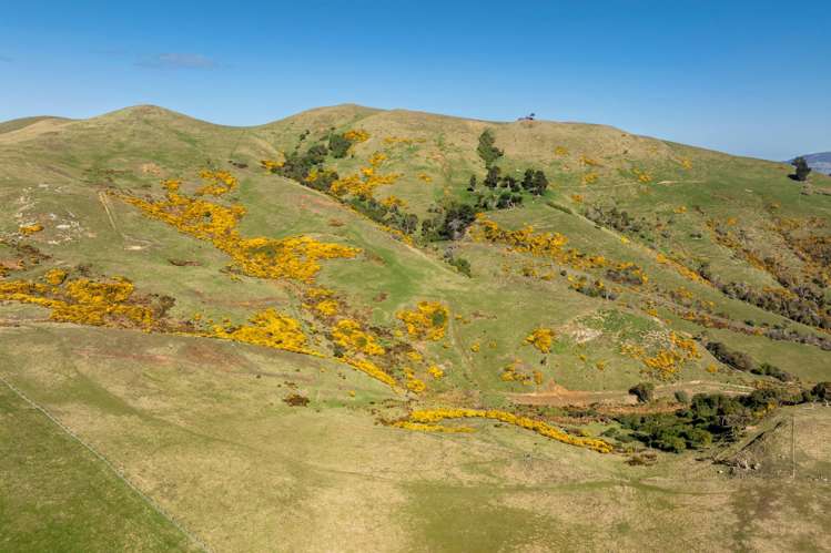 452 Harington Point Rd Lower Portobello_11