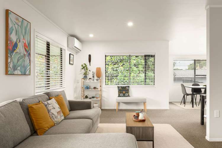 23 Princes Street Hauraki Surrounds_12