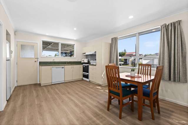 30 Chester Street Taradale_4