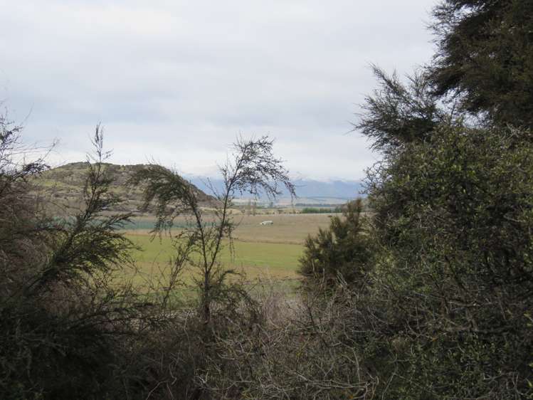 132 Willowbank Road Queensberry_8