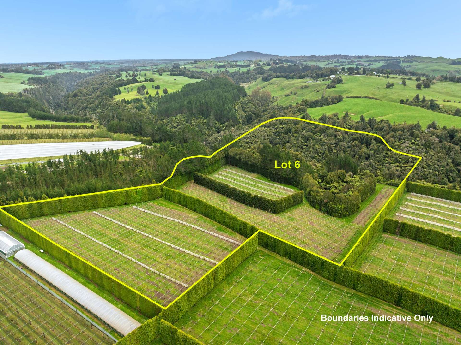 Lot 6/1010 Te Matai Road Te Ranga_0