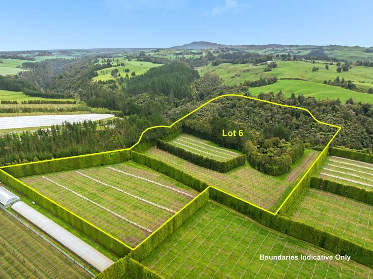 Lot 6/1010 Te Matai Road_0